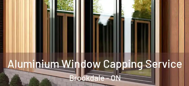 Aluminium Window Capping Service Brookdale - ON