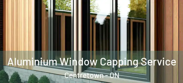Aluminium Window Capping Service Centretown - ON