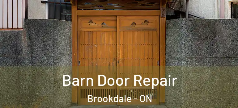 Barn Door Repair Brookdale - ON