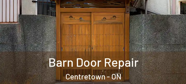 Barn Door Repair Centretown - ON
