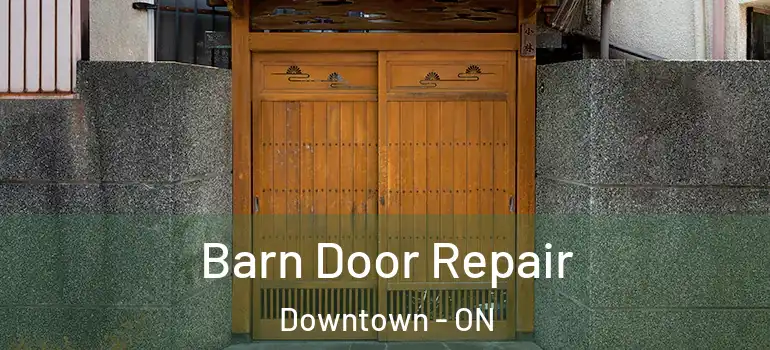 Barn Door Repair Downtown - ON