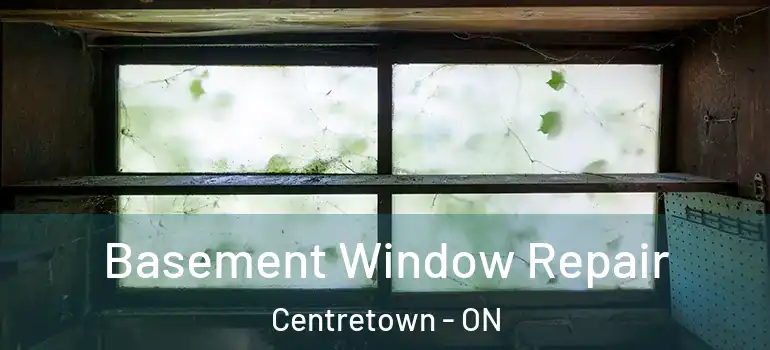 Basement Window Repair Centretown - ON