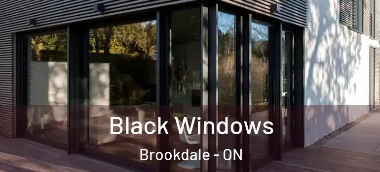 Black Windows Brookdale - ON