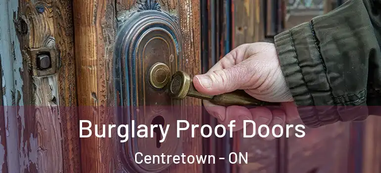 Burglary Proof Doors Centretown - ON