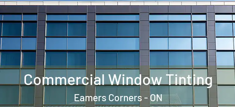 Commercial Window Tinting Eamers Corners - ON
