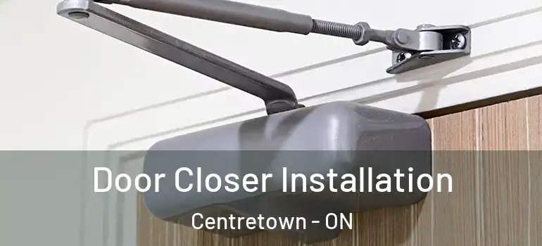 Door Closer Installation Centretown - ON