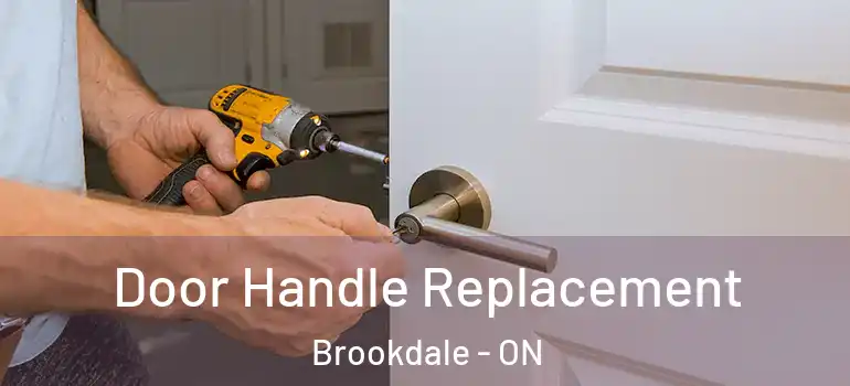 Door Handle Replacement Brookdale - ON