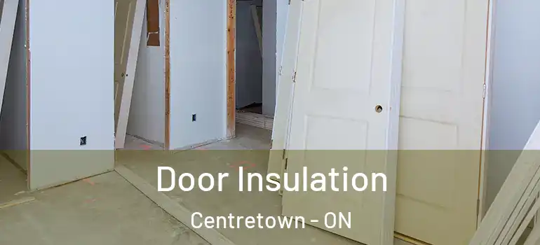 Door Insulation Centretown - ON
