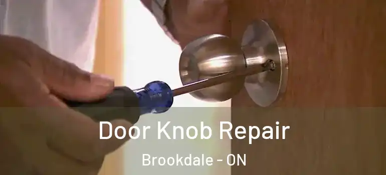 Door Knob Repair Brookdale - ON