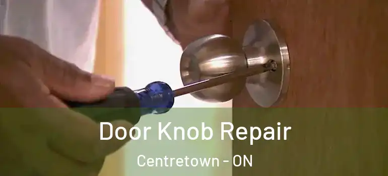 Door Knob Repair Centretown - ON