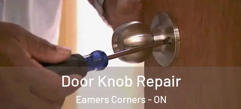 Door Knob Repair Eamers Corners - ON