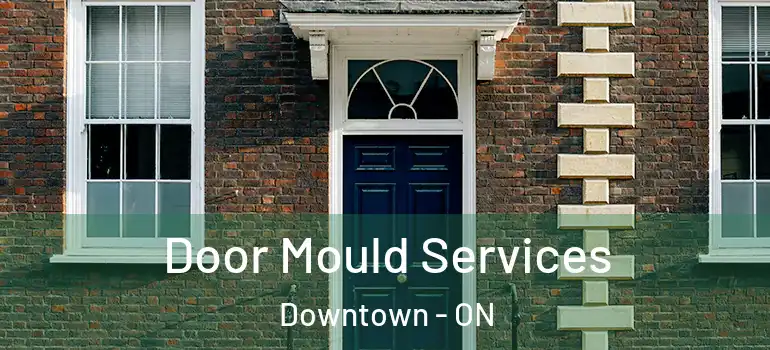 Door Mould Services Downtown - ON