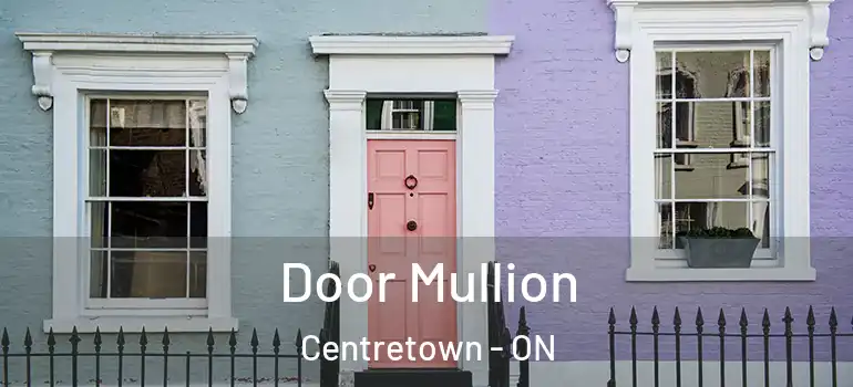Door Mullion Centretown - ON