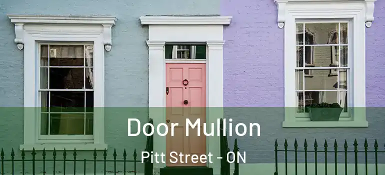 Door Mullion Pitt Street - ON