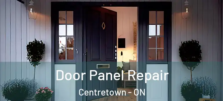 Door Panel Repair Centretown - ON