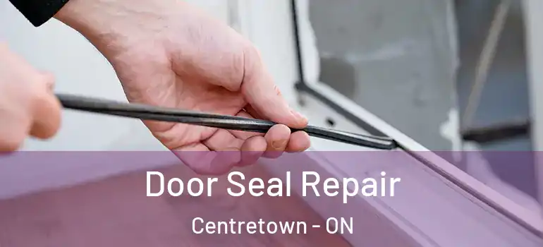 Door Seal Repair Centretown - ON