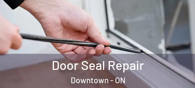 Door Seal Repair Downtown - ON