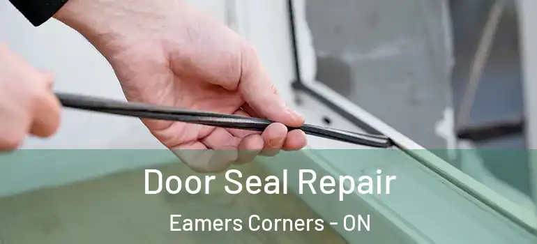 Door Seal Repair Eamers Corners - ON