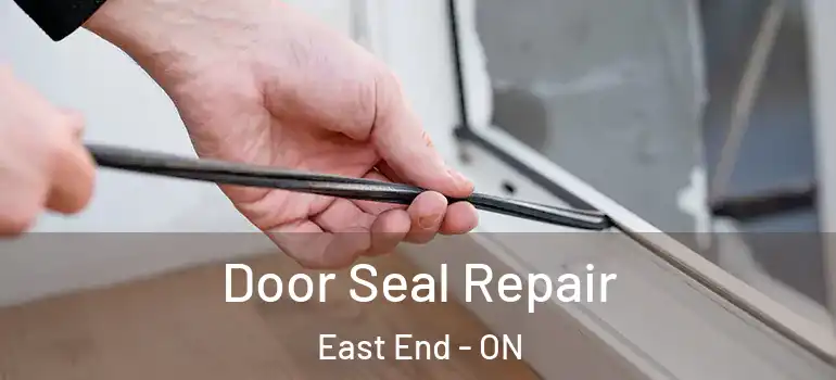 Door Seal Repair East End - ON
