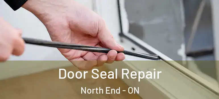 Door Seal Repair North End - ON