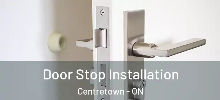 Door Stop Installation Centretown - ON