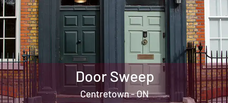 Door Sweep Centretown - ON
