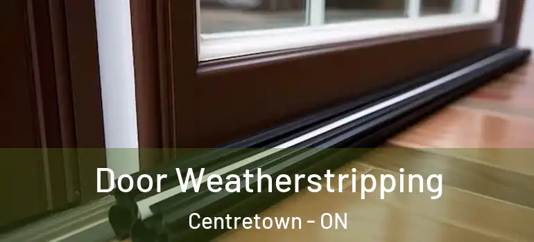 Door Weatherstripping Centretown - ON