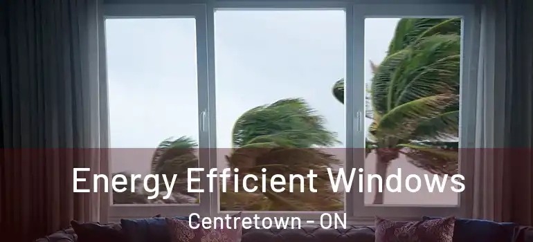 Energy Efficient Windows Centretown - ON
