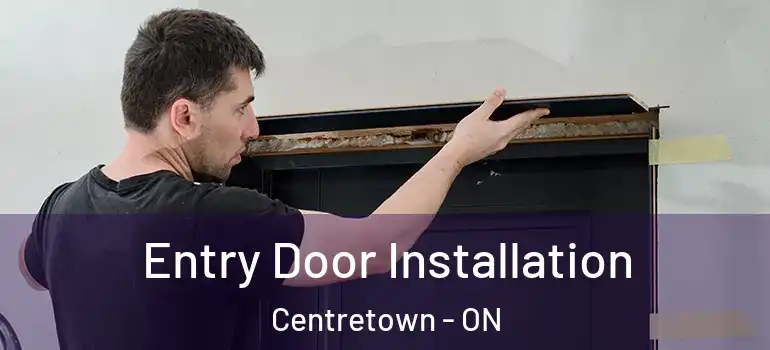 Entry Door Installation Centretown - ON