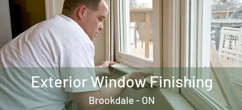 Exterior Window Finishing Brookdale - ON