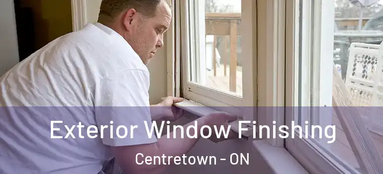 Exterior Window Finishing Centretown - ON