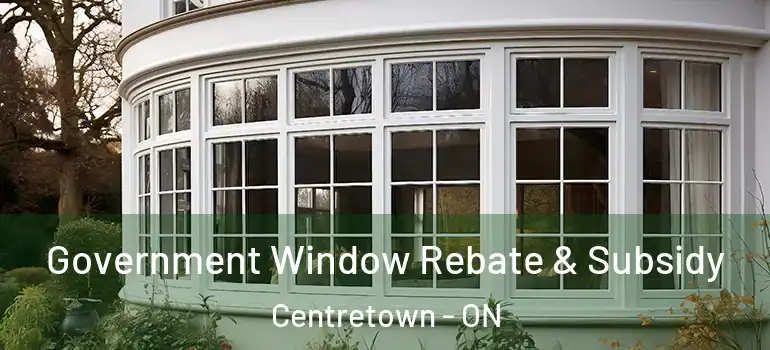 Government Window Rebate & Subsidy Centretown - ON