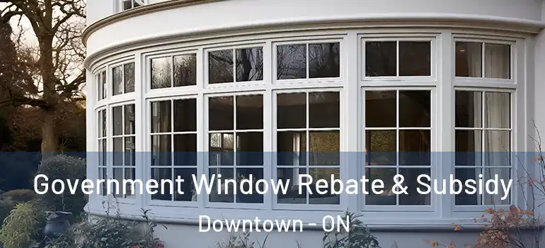 Government Window Rebate & Subsidy Downtown - ON