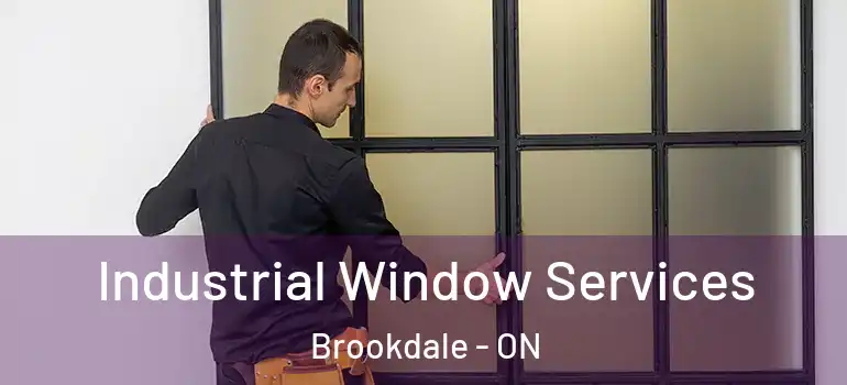 Industrial Window Services Brookdale - ON