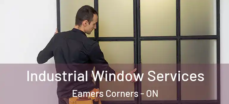 Industrial Window Services Eamers Corners - ON