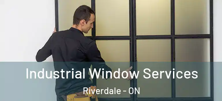 Industrial Window Services Riverdale - ON