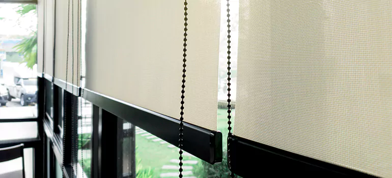 Blackout Window Shades in Riverdale, Ontario