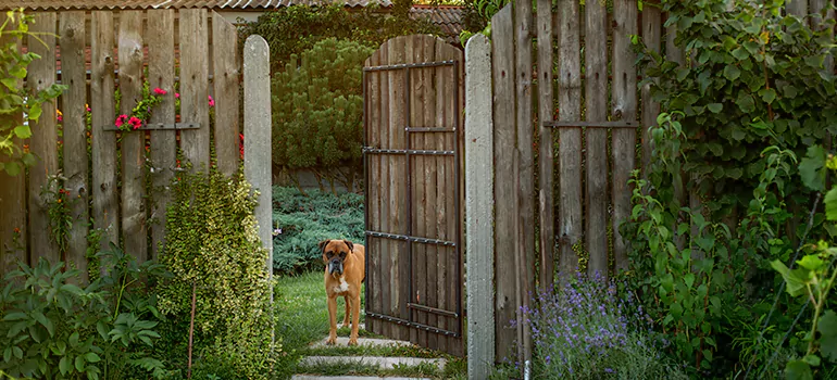 Winter Garden Garage Door Repair in North End,Ontario