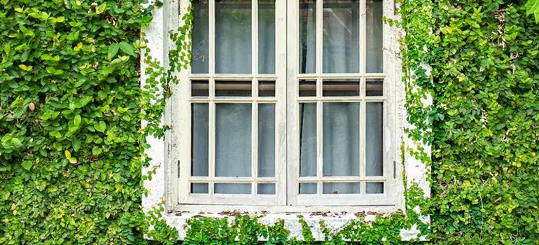 Garden Window Repair Near Me in Centretown, ON