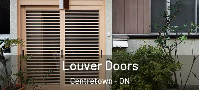 Louver Doors Centretown - ON