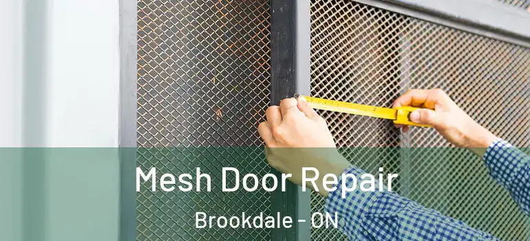 Mesh Door Repair Brookdale - ON