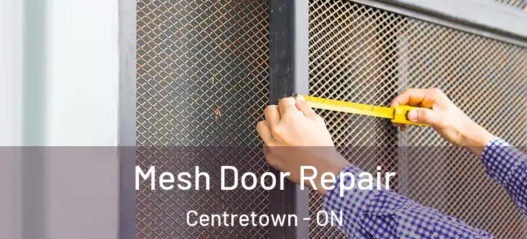 Mesh Door Repair Centretown - ON