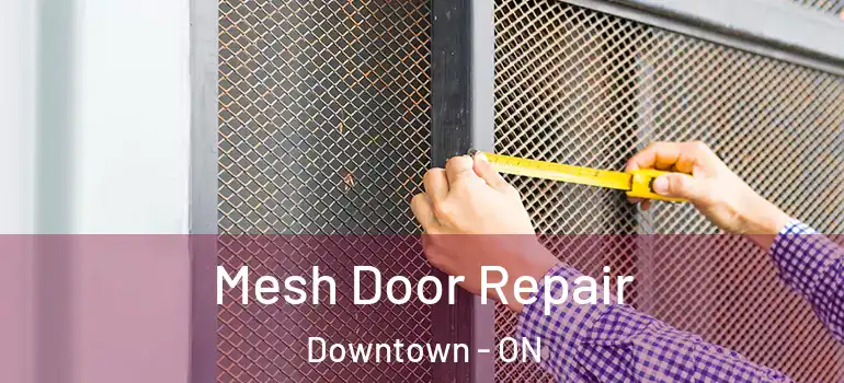 Mesh Door Repair Downtown - ON