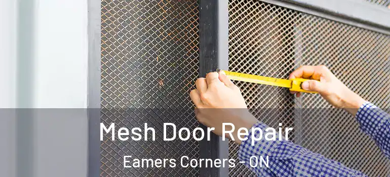 Mesh Door Repair Eamers Corners - ON
