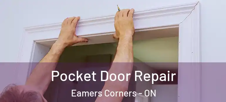 Pocket Door Repair Eamers Corners - ON