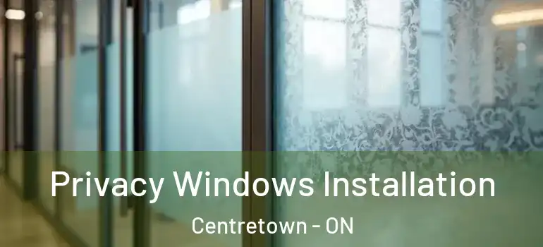 Privacy Windows Installation Centretown - ON