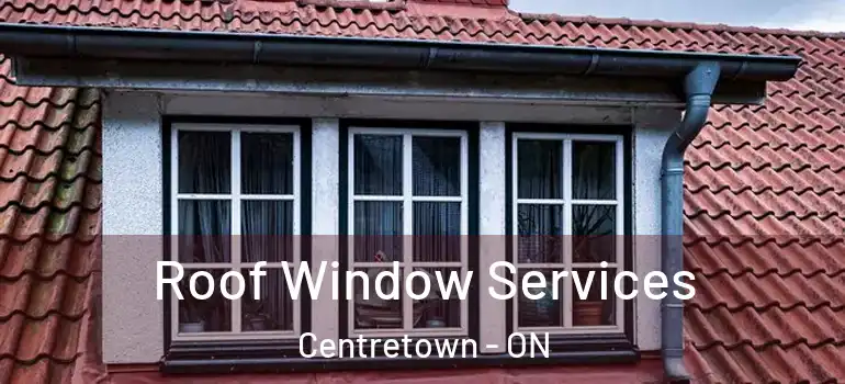 Roof Window Services Centretown - ON