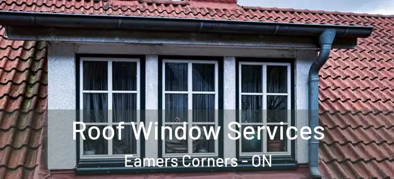 Roof Window Services Eamers Corners - ON