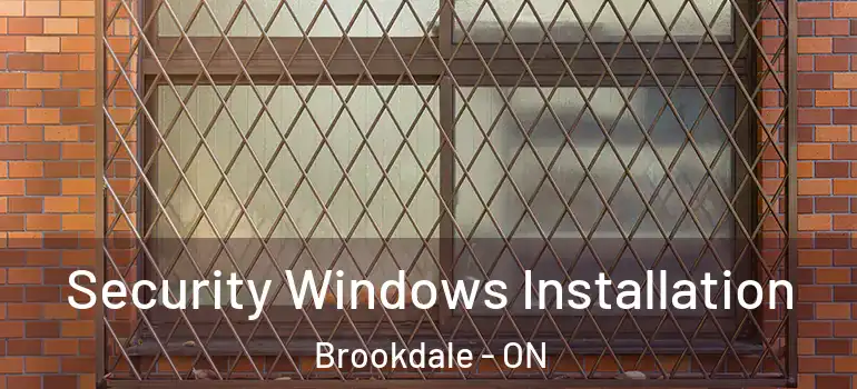 Security Windows Installation Brookdale - ON