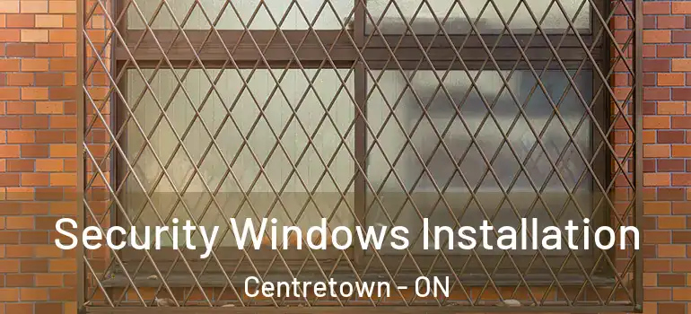Security Windows Installation Centretown - ON